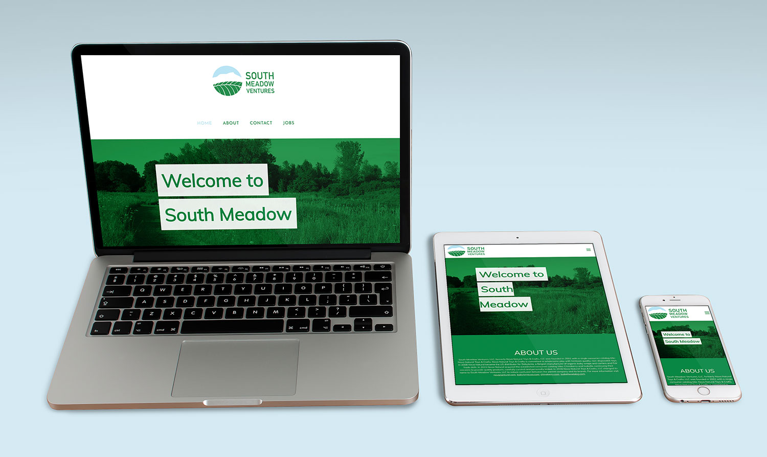 South Meadow Ventures Website